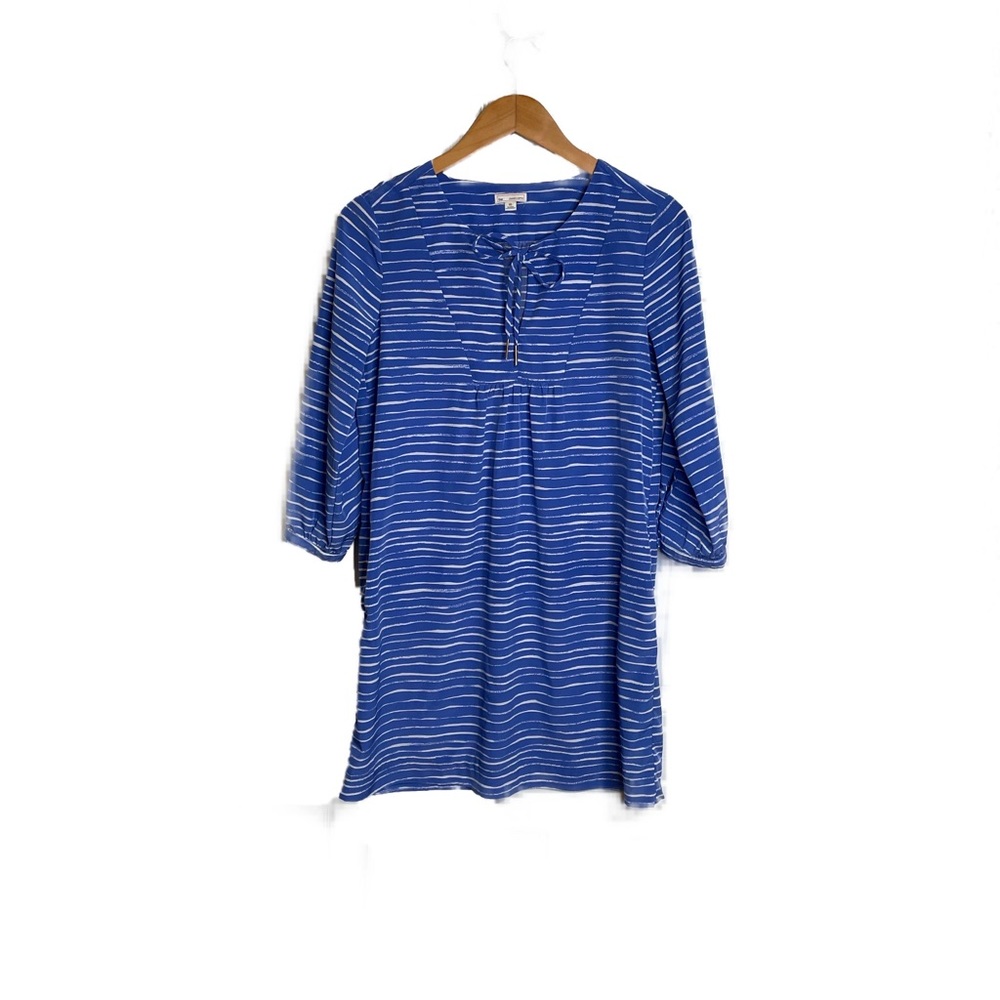 Blue and White Gap Dress